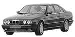BMW E34 P2445 Fault Code
